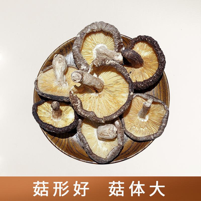 野生椴木丑菇很香 大埔长寿乡食用菌菇干货 深山木头菇200克包邮